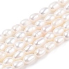 Natural Cultured Freshwater Pearl Beads Strands PEAR-N012-03N-2