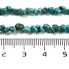 Natural HuBei Turquoise Beads Strands G-B089-B01-01-5