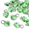 Faceted Transparent Glass Charms GLAA-T024-04G-1