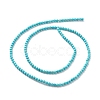 Natural Howlite Beads Strands TURQ-K005-01A-3