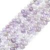 Gemstone Beads Strands G-S024-4
