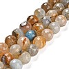 Natural Agate Beads Strands G-L595-A01-01F-1