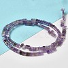 Natural Amethyst Beads Strands G-Z045-A13-01-2