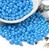 Baking Painted Glass Seed Beads SEED-C004-01M-1