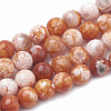 Dyed Natural Crackle Agate Beads Strands G-T100-03F-1