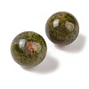 Natural Unakite No Hole Sphere Beads G-K353-04C-05-2