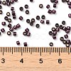 Glass Seed Beads X-SEED-S042-04B-30-4