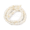 Natural Anomaly Freshwater Shell Beads Strands BSHE-S304-05A-2