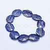 Natural Lapis Lazuli Beads Strands G-F530-01-32x28mm-2