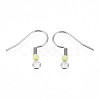304 Stainless Steel Earring Hooks STAS-S057-63I-2