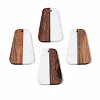 Resin & Wood Pendants RESI-N025-021-3