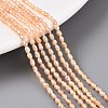 Natural Cultured Freshwater Pearl Beads Strands PEAR-N012-02H-01-2