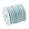 45M Segment Dyed Chinlon Thread OCOR-CJC0003-02A-3