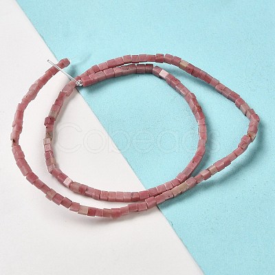 Natural Rhodonite Beads Strands G-B064-A08-1