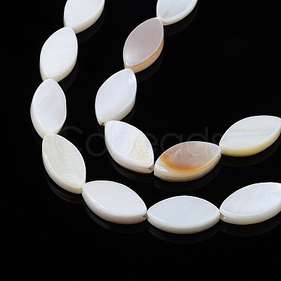 Natural Freshwater Shell Beads Strands SHEL-Q024A-017-1