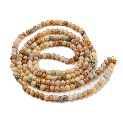 Natural Crazy Lace Agate Bead Strands G-A130-2mm-K10-1