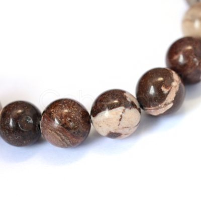 Natural Zebra Jasper Round Bead Strands X-G-E334-8mm-12-1