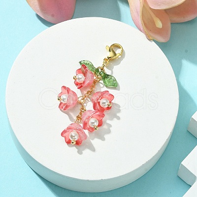 Glass & Acrylic Pendant Decorations HJEW-TA00091-02-1