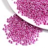 8/0 Glass Seed Beads X1-SEED-A015-3mm-2203-1