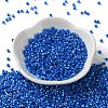 Baking Paint Glass Seed Beads X-SEED-S042-15A-18-2