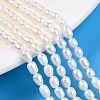 Natural Cultured Freshwater Pearl Beads Strands PEAR-N012-03N-1