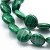 Natural Malachite Beads Strands G-D0011-06-12mm-3