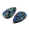 Natural Paua Shell Pendants SSHEL-I026-08B-2