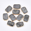 Electroplate Natural Labradorite Beads G-S344-96-1
