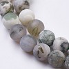 Natural Tree Agate Bead Strands G-G945-18-8mm-3