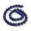 Natural Lapis Lazuli Beads Strands G-K323-21-3
