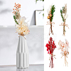 HOBBIESAY 8Pcs 8 Style Mini Dried Flower Bouquet AJEW-HY0001-33-5