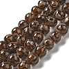 Freshwater Shell Beads Strands BSHE-L039-08B-09-1