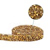 Glitter Resin Hotfix Rhinestone(Hot Melt Adhesive On The Back) OCOR-TAC0004-A-02-2