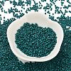 Baking Paint Glass Seed Beads X-SEED-S042-05B-67-2