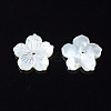 Natural White Shell Mother of Pearl Shell Beads SSHEL-T014-42C-3