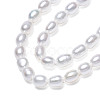 Natural Cultured Freshwater Pearl Beads Strands PEAR-N012-03G-4