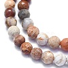 Natural Fossil Coral Beads Strands G-K310-A03-6mm-3