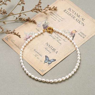 Natural Cultured Freshwater Pearl Beaded Necklaces NJEW-JN03100-1