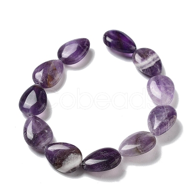 Natural Amethyst Beads Strands G-P528-L05-01-1