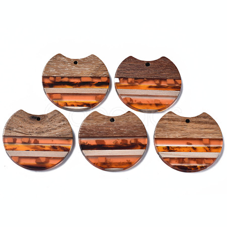 Resin & Walnut Wood Pendants RESI-N025-014A-D01-1