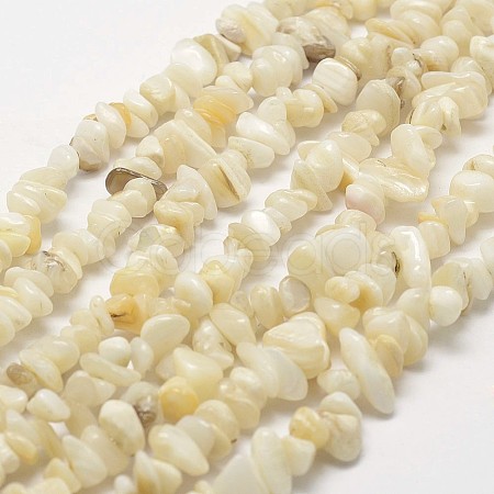 Natural Shell Beads Strands G-F328-45-1