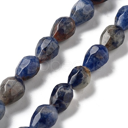 Natural Sodalite Beads Strands G-P520-B23-01-1