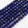 Natural Lapis Lazuli Beads Strands G-F460-30-1