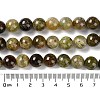 Natural Green Garnet Beads Strands G-Z034-B14-03-5