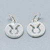 925 Sterling Silver Charms STER-T002-44S-01-2