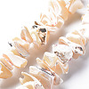 Natural Trochid Shell/Trochus Shell Bead Strands SSHEL-N034-105-B01-1