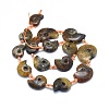 Natural Ammonite/Conch Fossil Graduated Beads Strands G-O179-K04-1-3