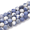 Natural Sodalite Beads Strands X-G-T106-213-1
