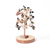 Natural Tourmaline Chips with Brass Wrapped Wire Money Tree on Wood Base Display Decorations DJEW-B007-05H-1