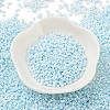 Baking Paint Glass Seed Beads X-SEED-S042-05B-64-2